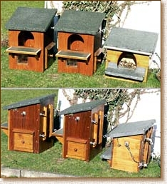 tawny owl, nestbox, nest box