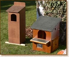 tawny owl, nestbox, nest box