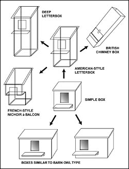 Tawny owl, Strix aluco, owl, nest box, nestbox, design, comparison, types, letterbox, chimney, nichoir balcon