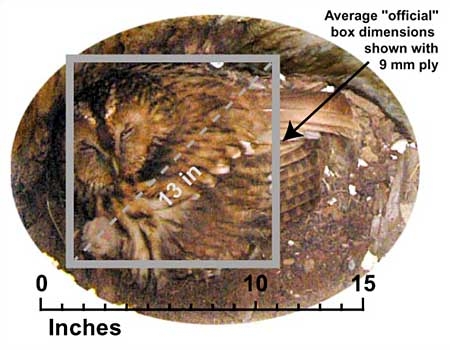 Tawny Owl, Strix aluco, nestbox, nest box, design, construction