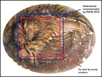 Tawny Owl, Strix aluco, nest box, nestbox, chimney, dimensions, size, cruelty