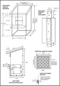 Tawny owl, Strix aluco, owl, nest box, nestbox, letterbox, design, plan, construction