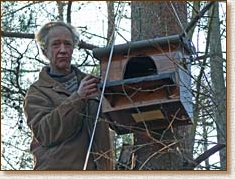 tawny owl, nestbox, nest box