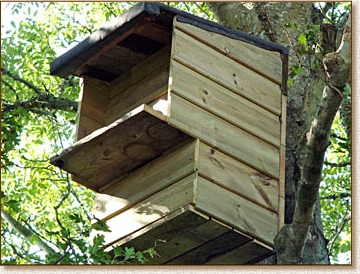 nestboxthmblarge