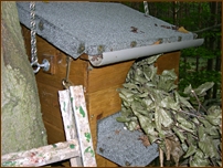 Tawny Owl, Strix aluco, woodland, nestbox, nest box, maintenance, squirrel, drey