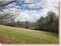 Weald, Kent, countryside, woodland