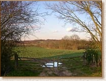 Weald, Kent, countryside, woodland